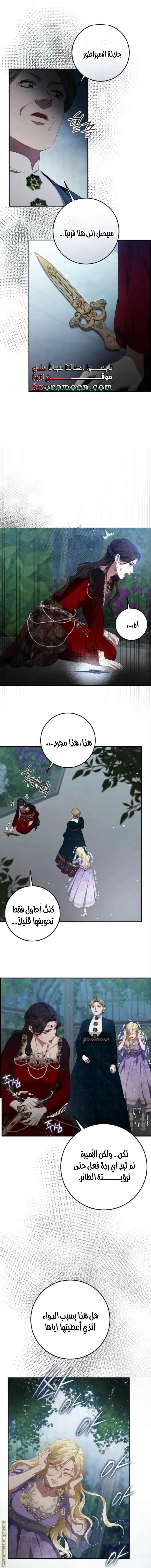 الصفحة 5