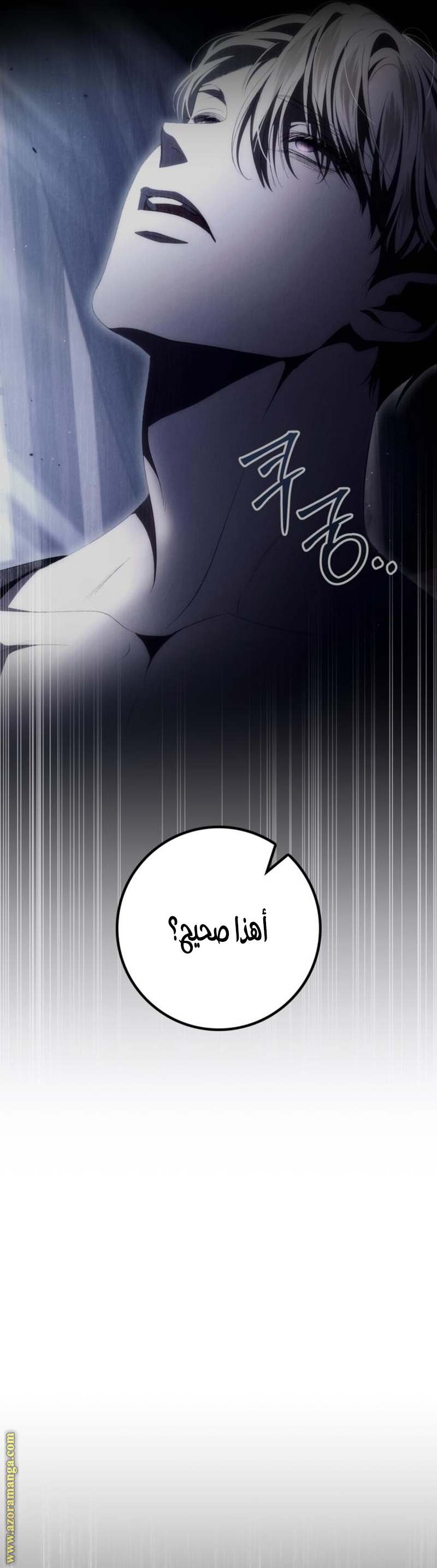 الصفحة 21
