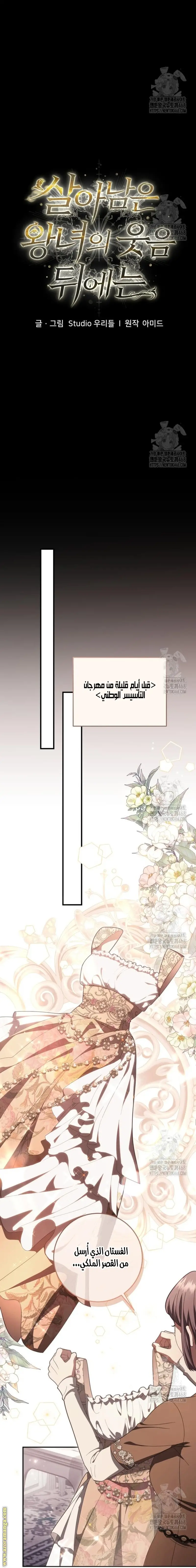 الصفحة 11