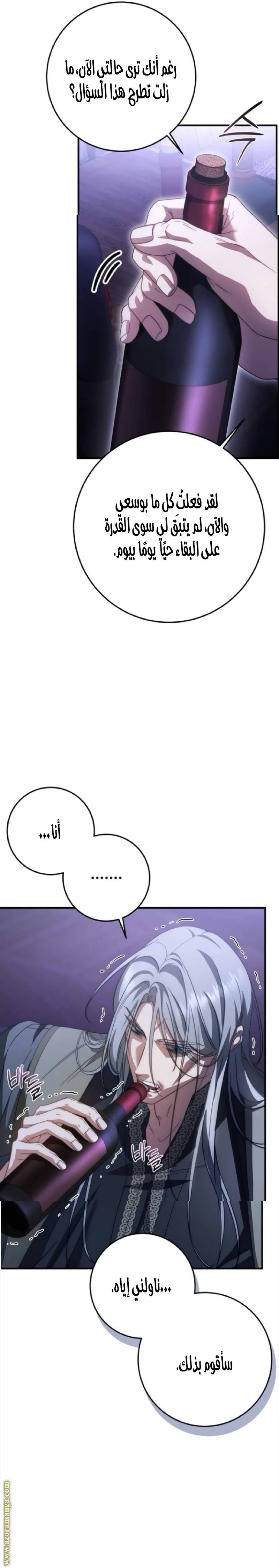 الصفحة 19