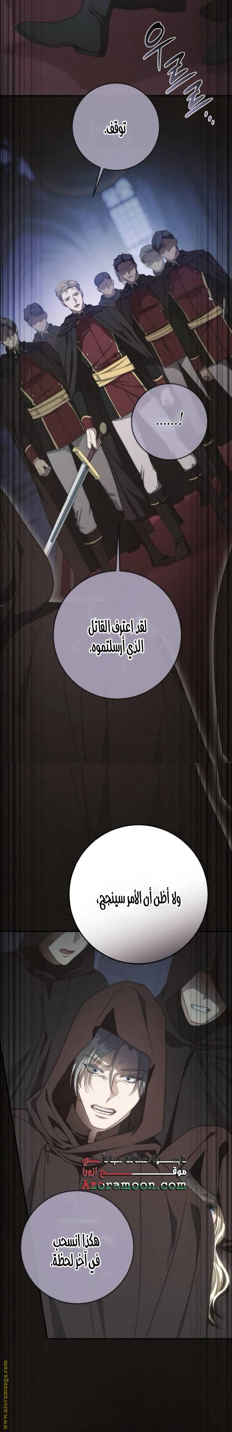 الصفحة 29