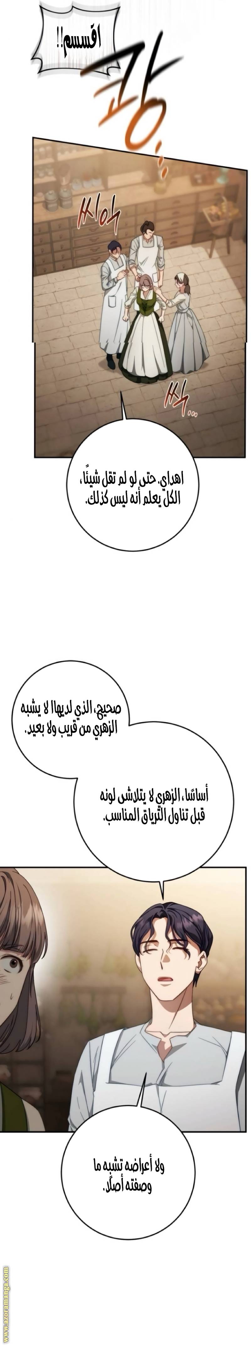 الصفحة 17