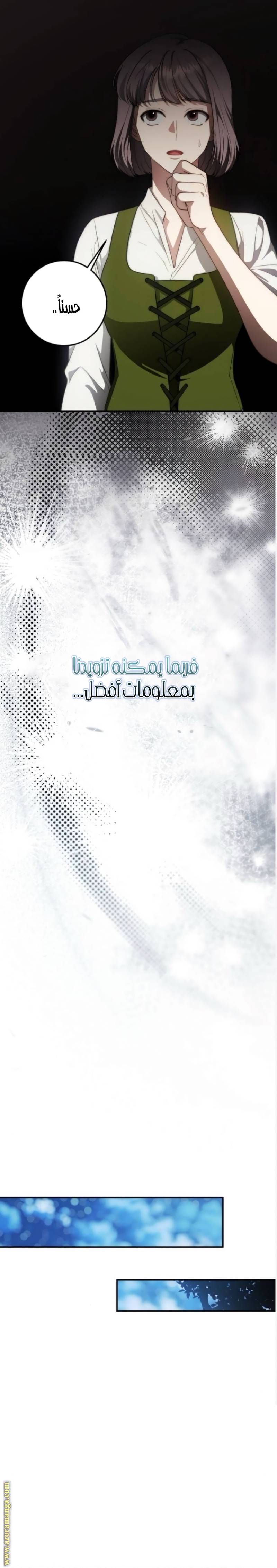الصفحة 26
