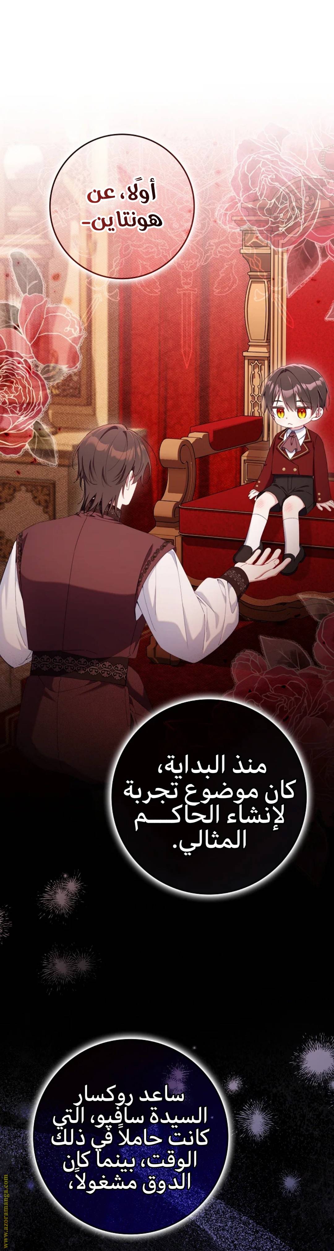 الصفحة 25