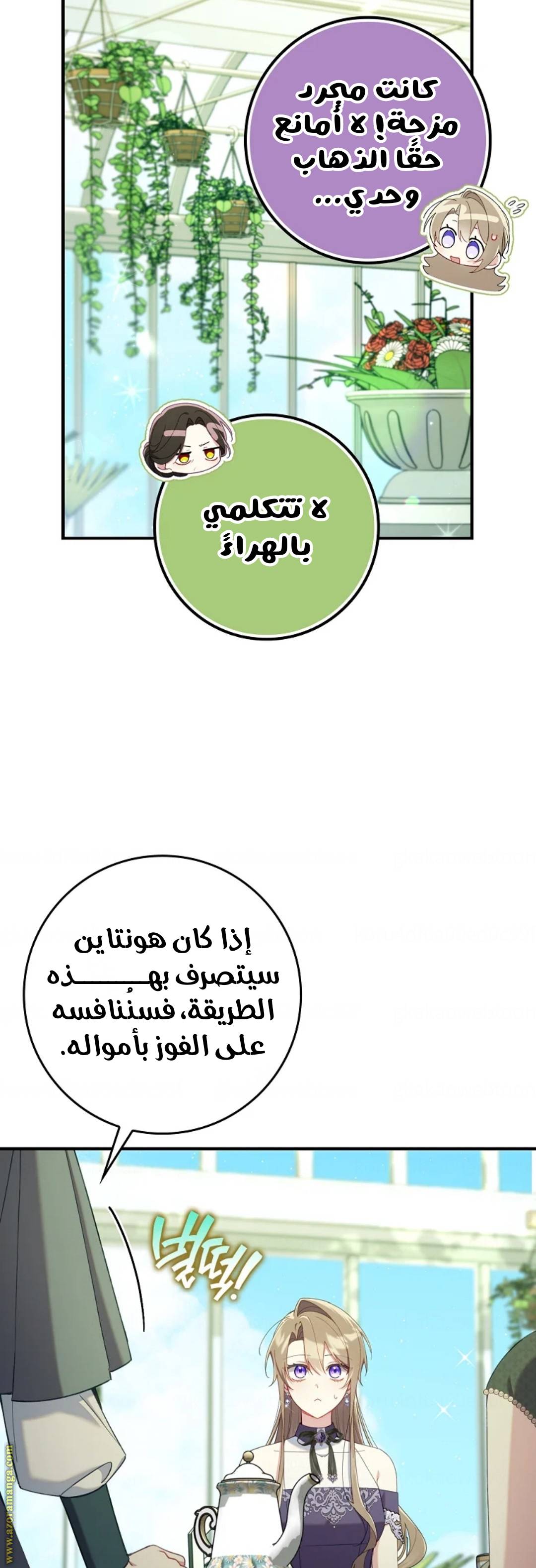 الصفحة 41