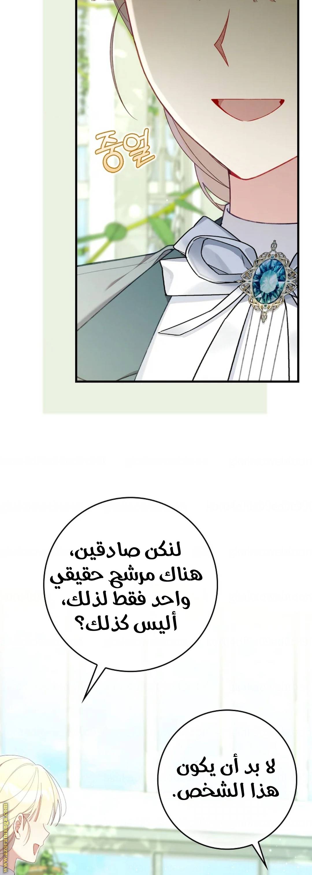 الصفحة 48