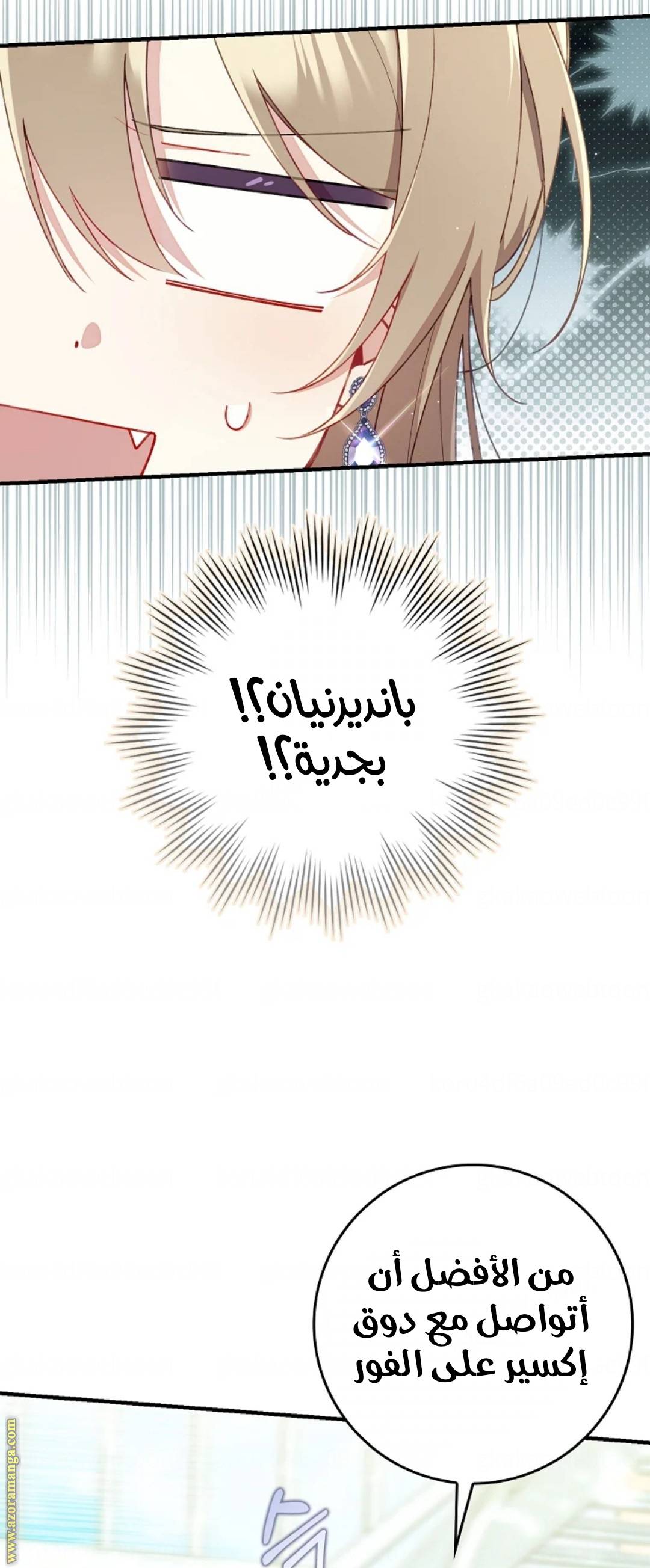 الصفحة 52