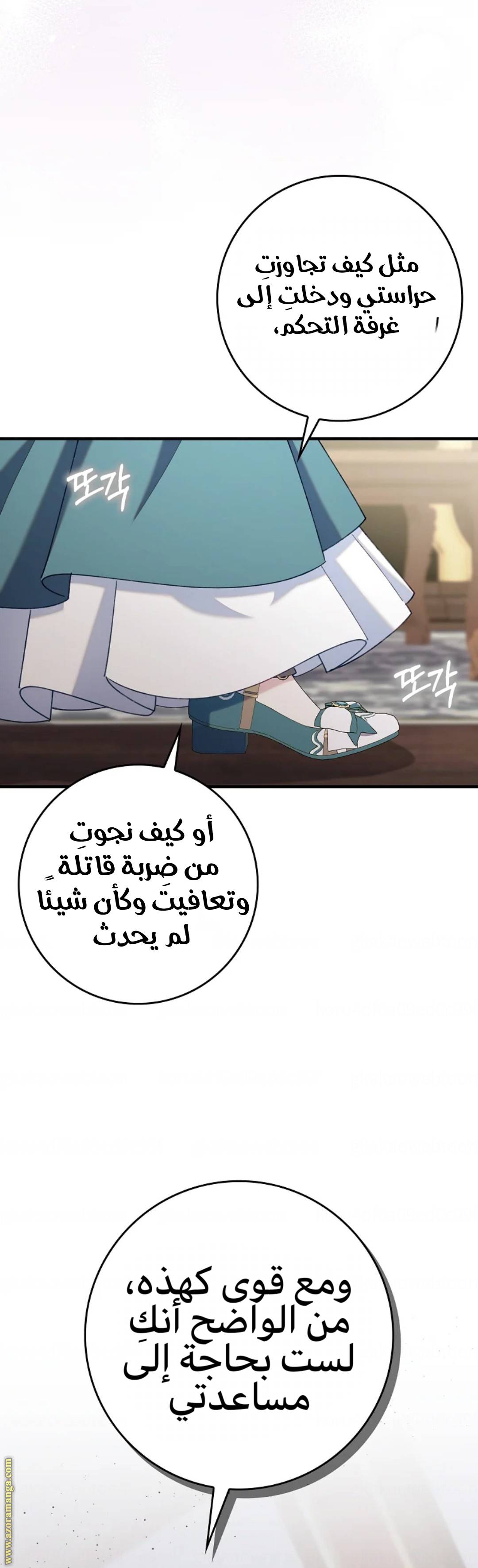 الصفحة 45