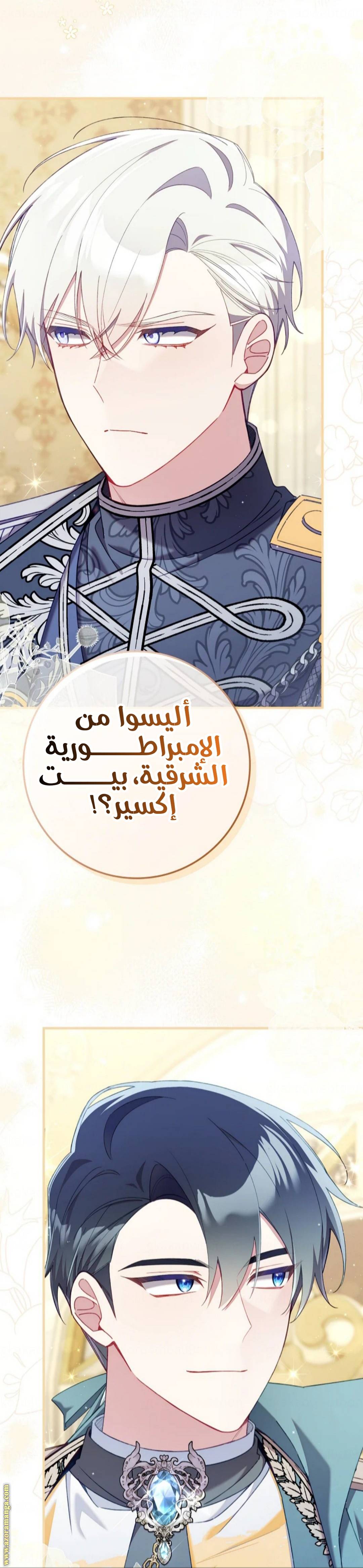 الصفحة 11