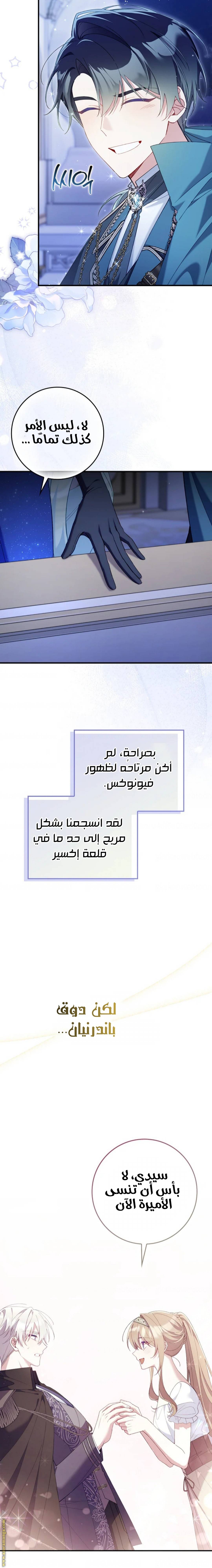 الصفحة 19