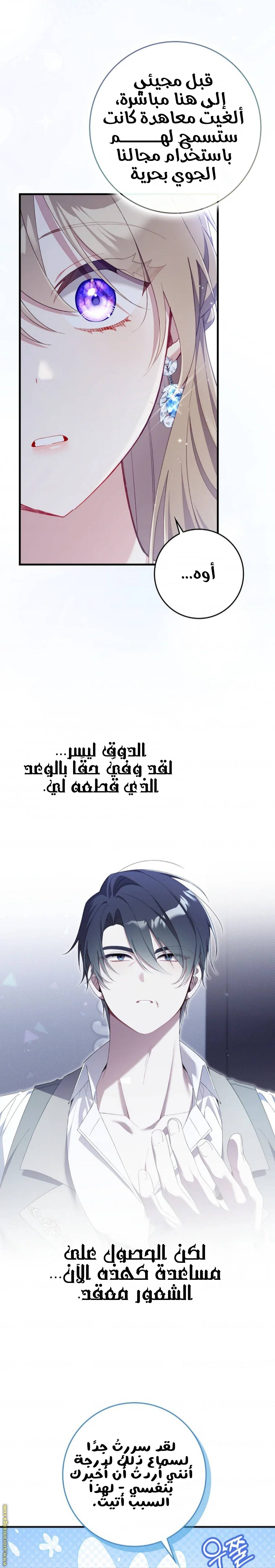 الصفحة 24