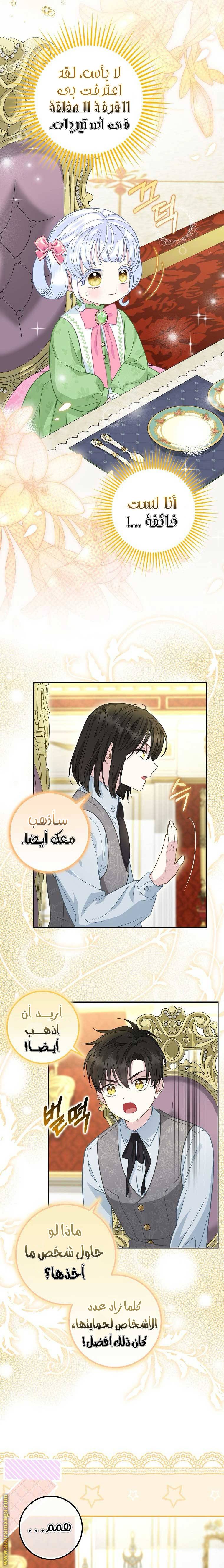 الصفحة 13