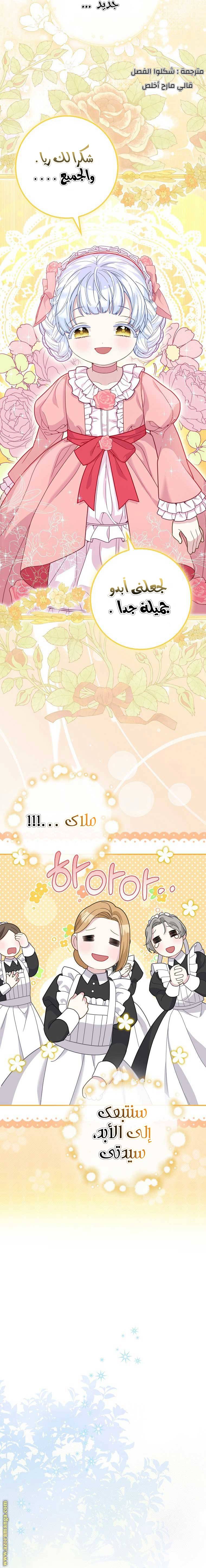 الصفحة 17
