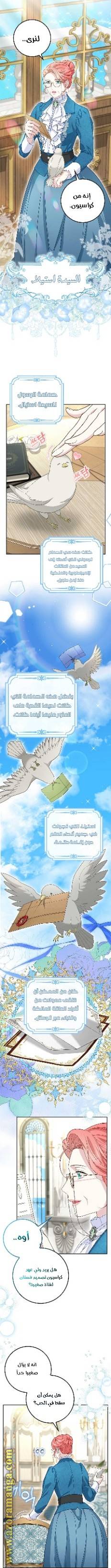 الصفحة 5