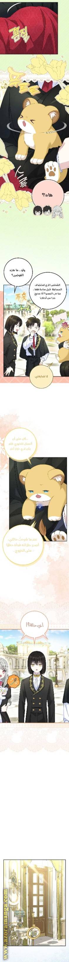 الصفحة 6