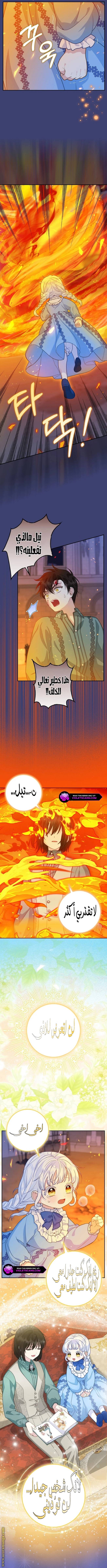 الصفحة 5