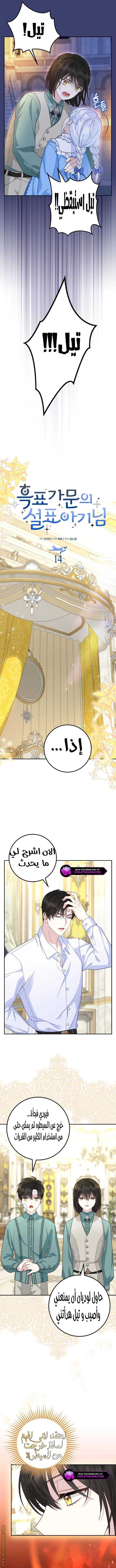الصفحة 8