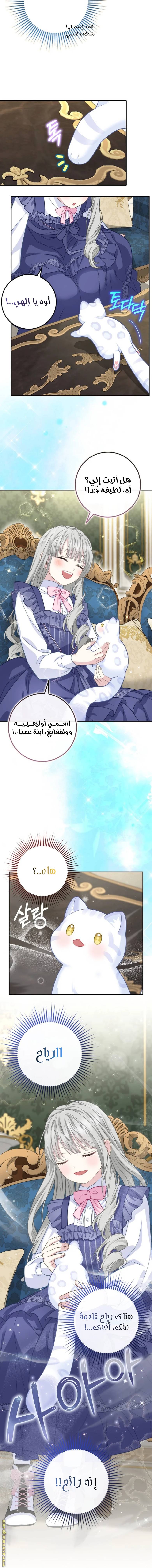 الصفحة 5