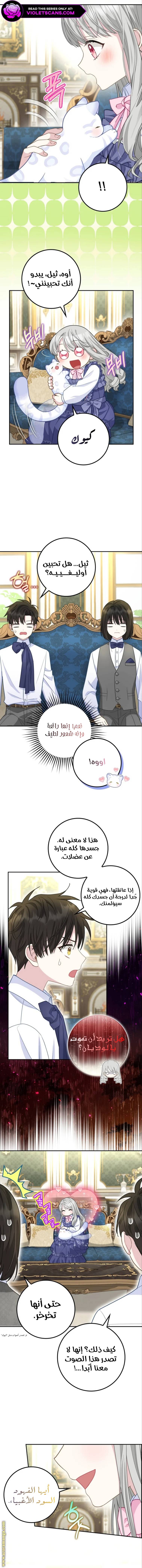 الصفحة 6