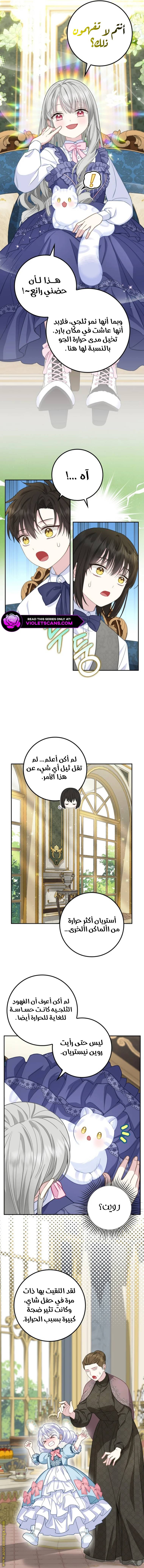 الصفحة 7
