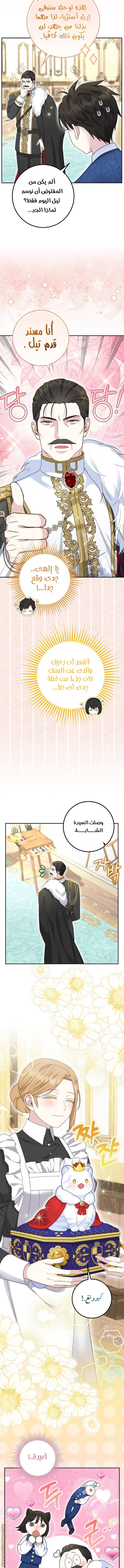 الصفحة 8