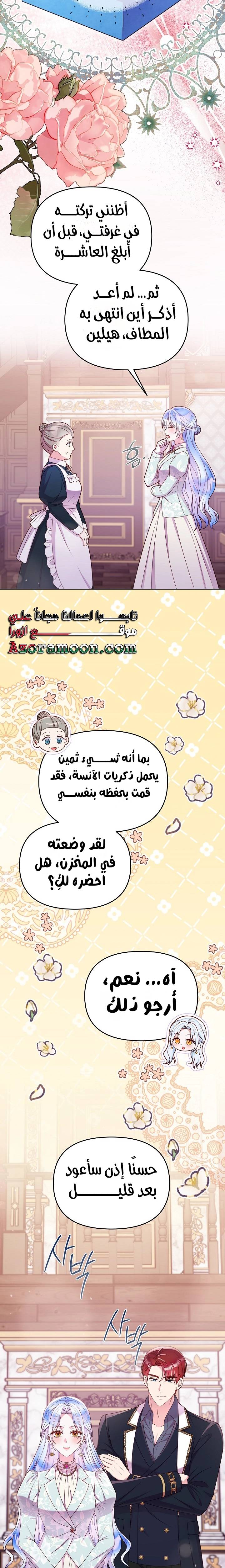 الصفحة 17