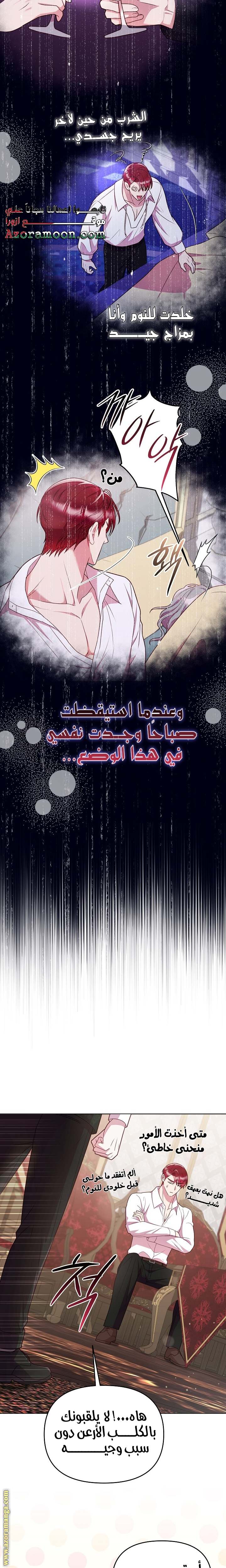 الصفحة 19