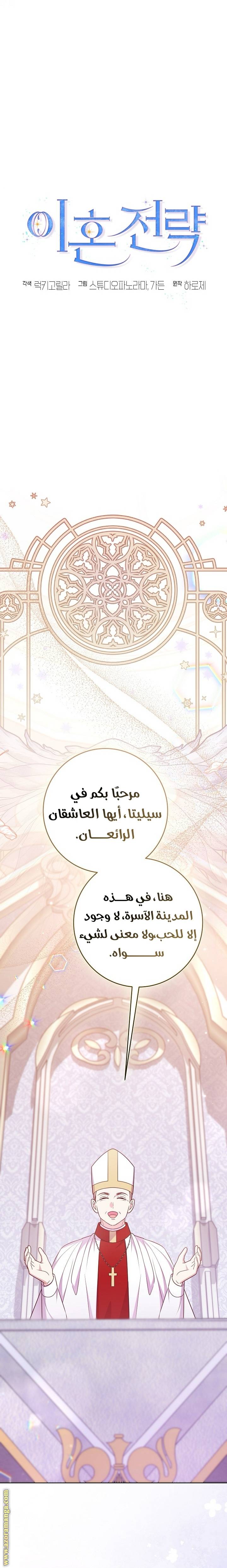 الصفحة 13