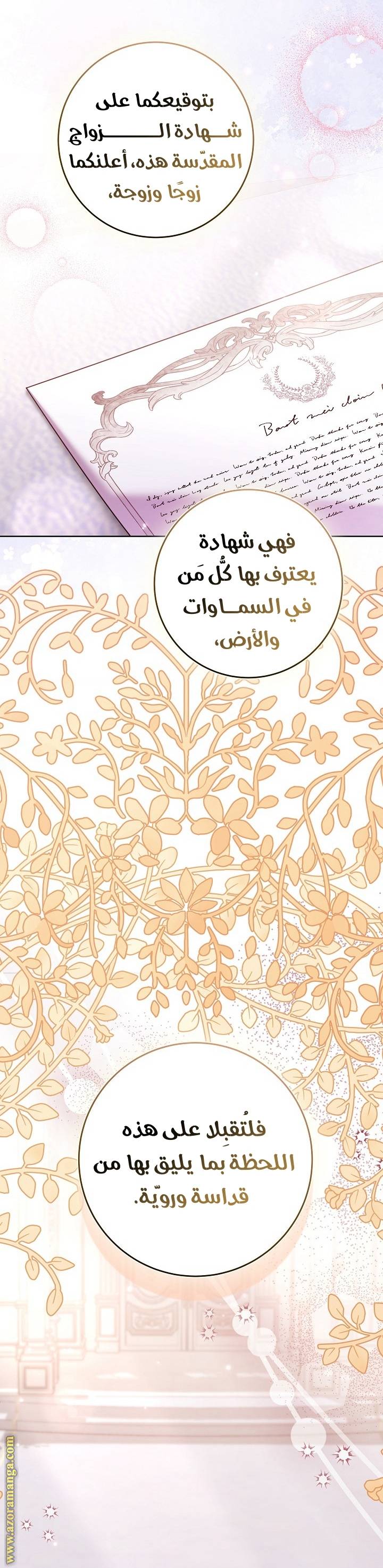 الصفحة 14