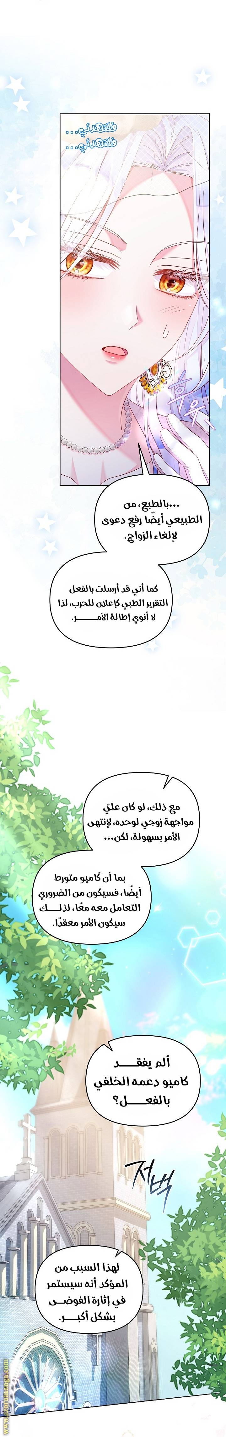الصفحة 29