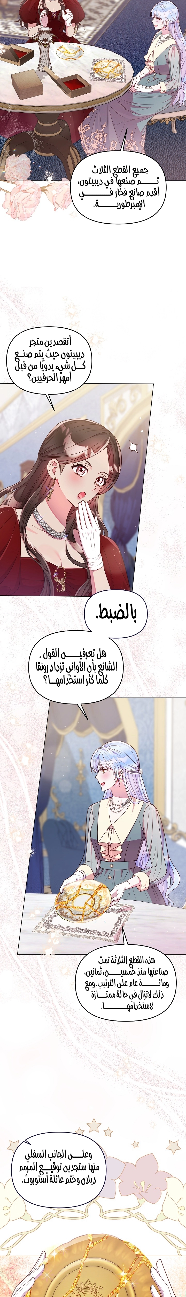 الصفحة 17