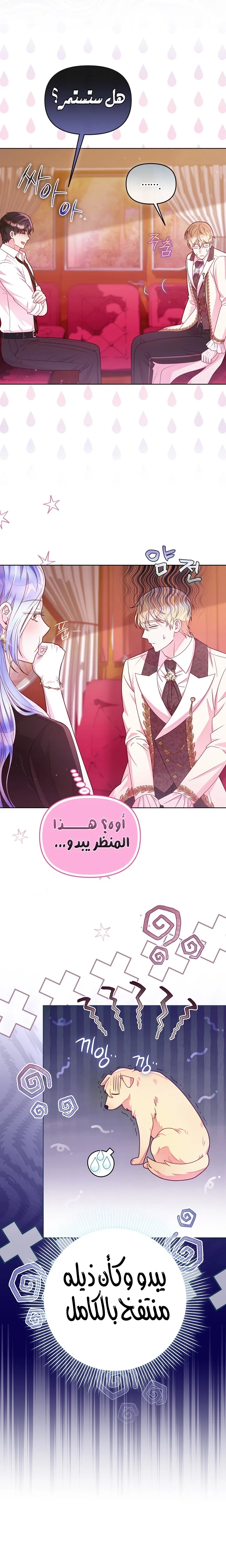 الصفحة 13