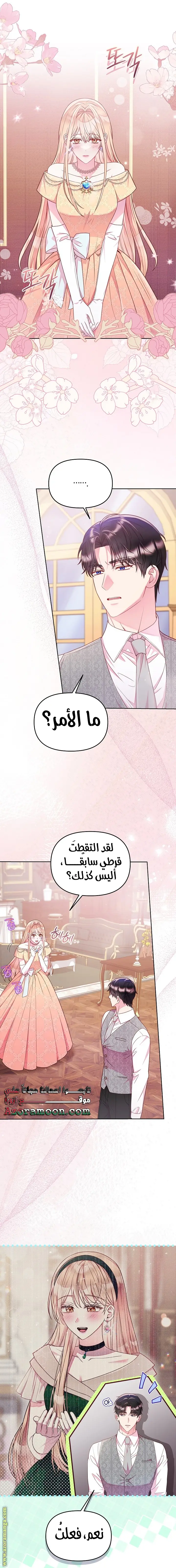 الصفحة 12