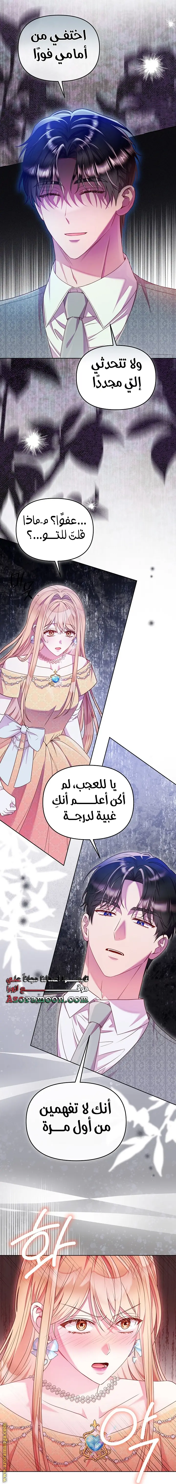 الصفحة 17