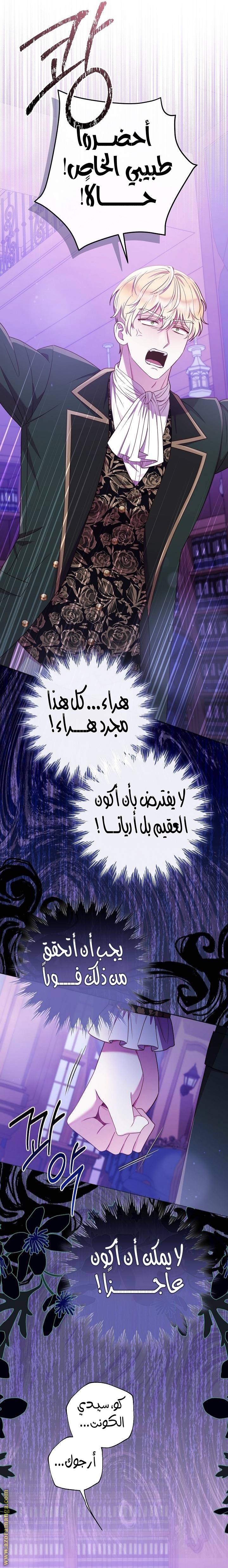 الصفحة 16