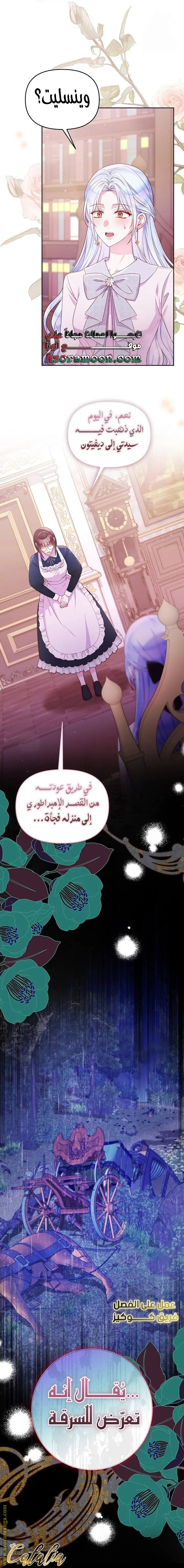 الصفحة 21