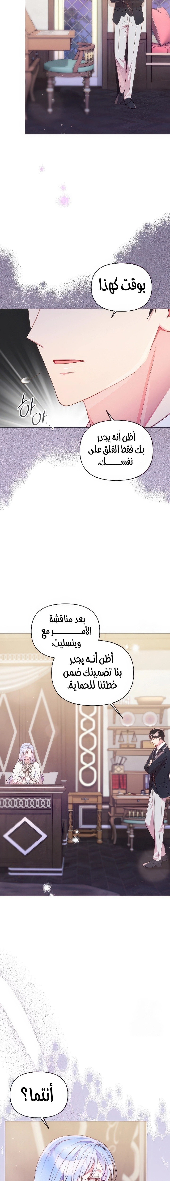 الصفحة 13