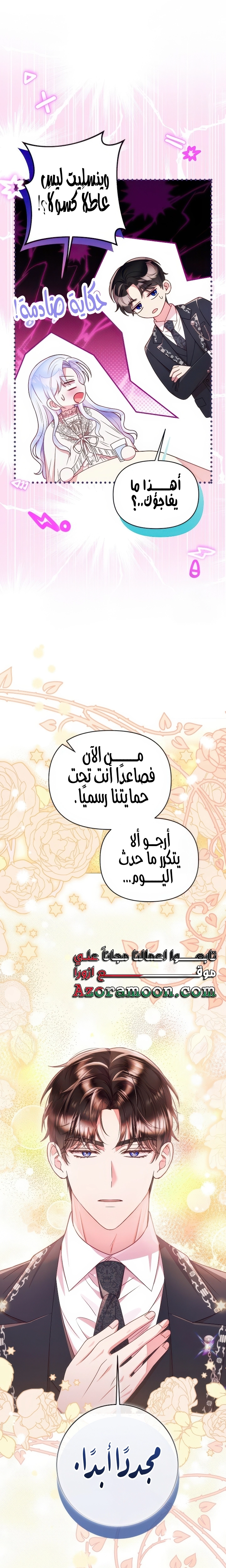 الصفحة 17