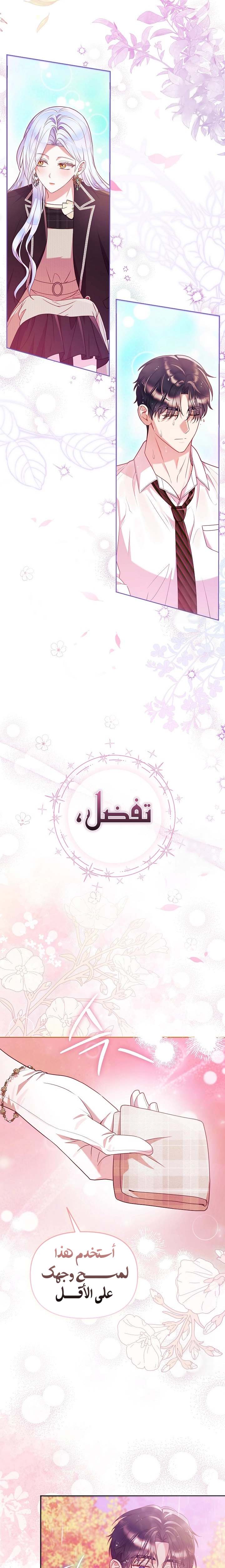 الصفحة 17