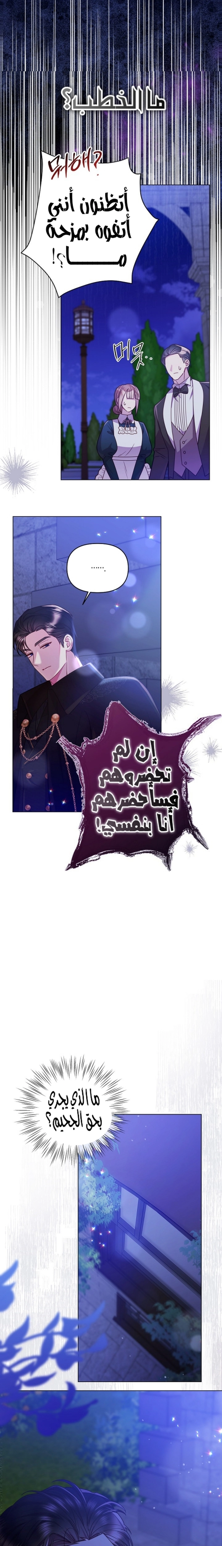 الصفحة 15