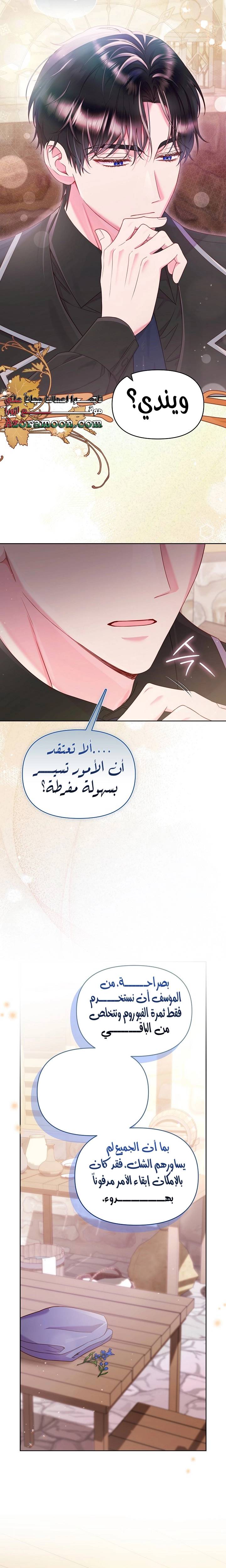 الصفحة 17