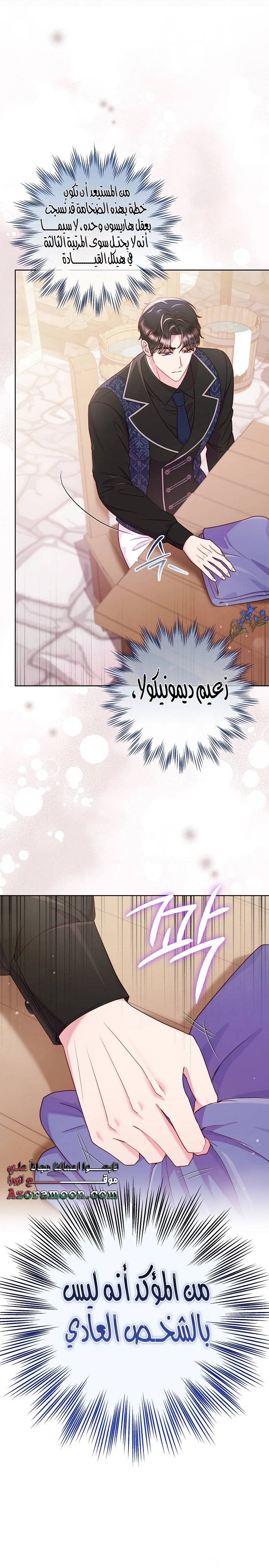 الصفحة 19