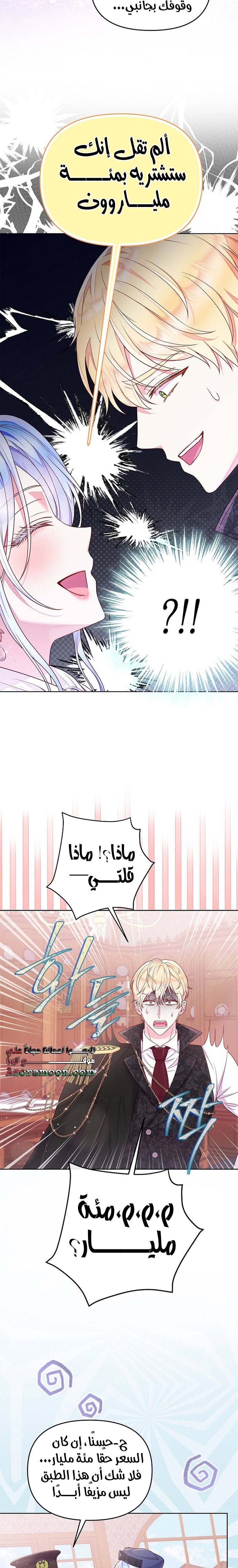 الصفحة 17
