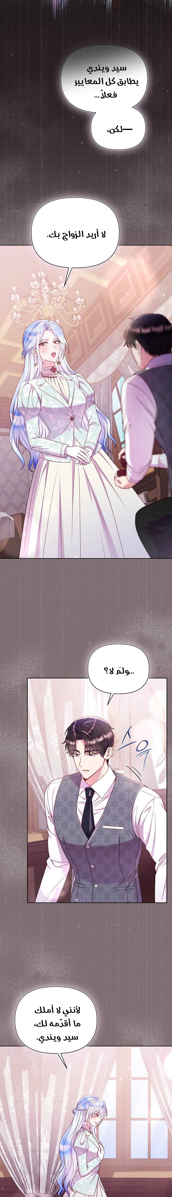 الصفحة 13