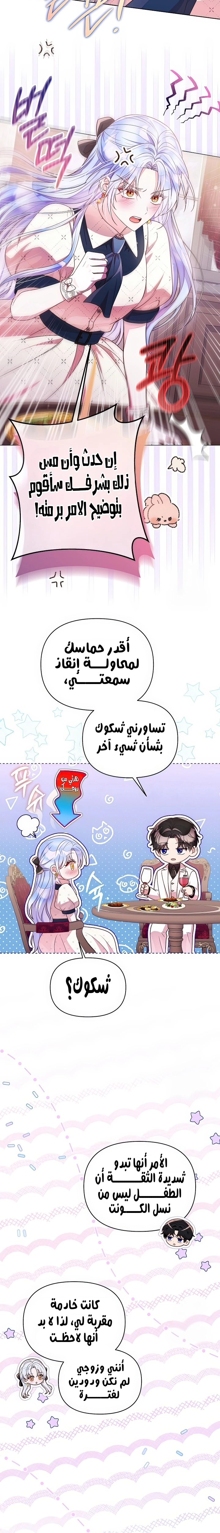 الصفحة 17