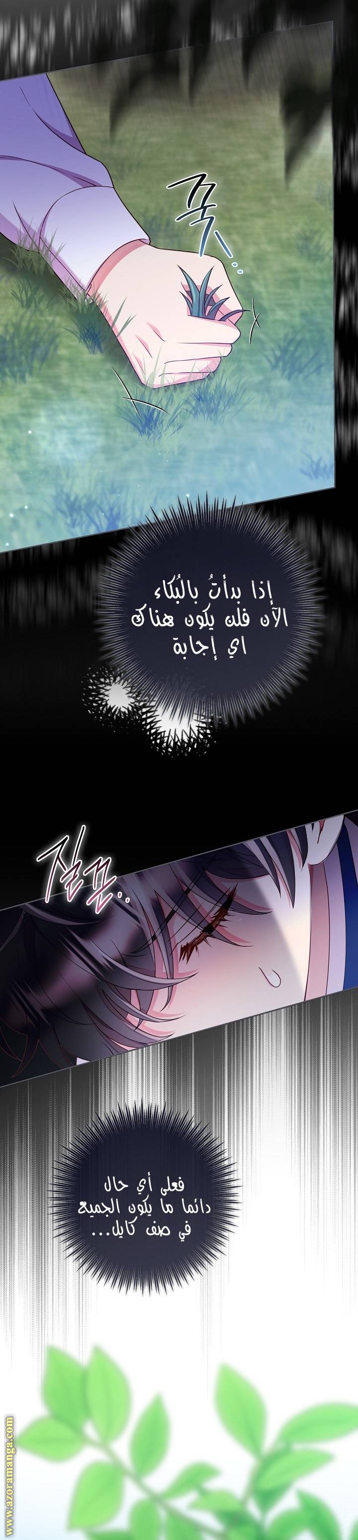 الصفحة 13