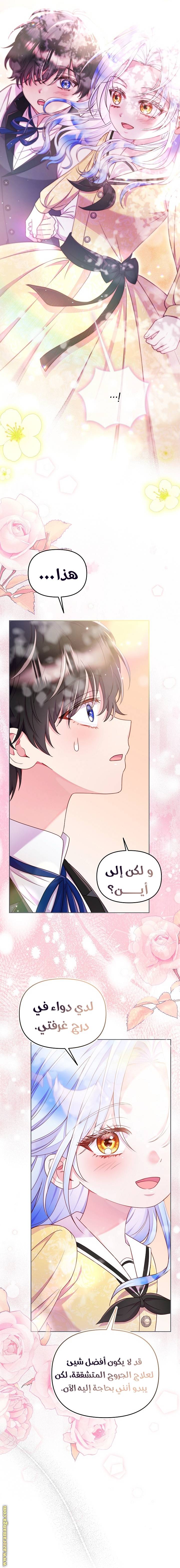 الصفحة 24