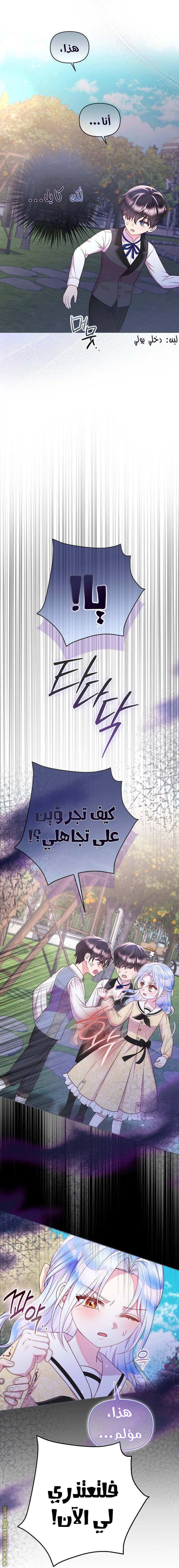 الصفحة 25