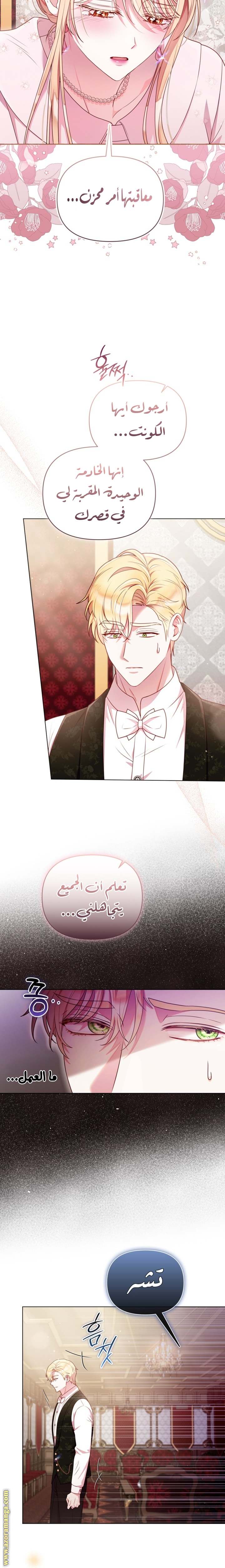 الصفحة 17