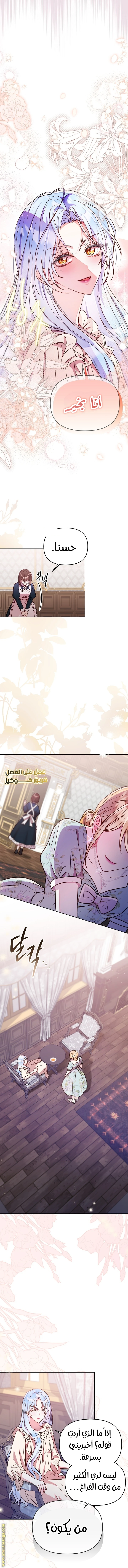 الصفحة 11
